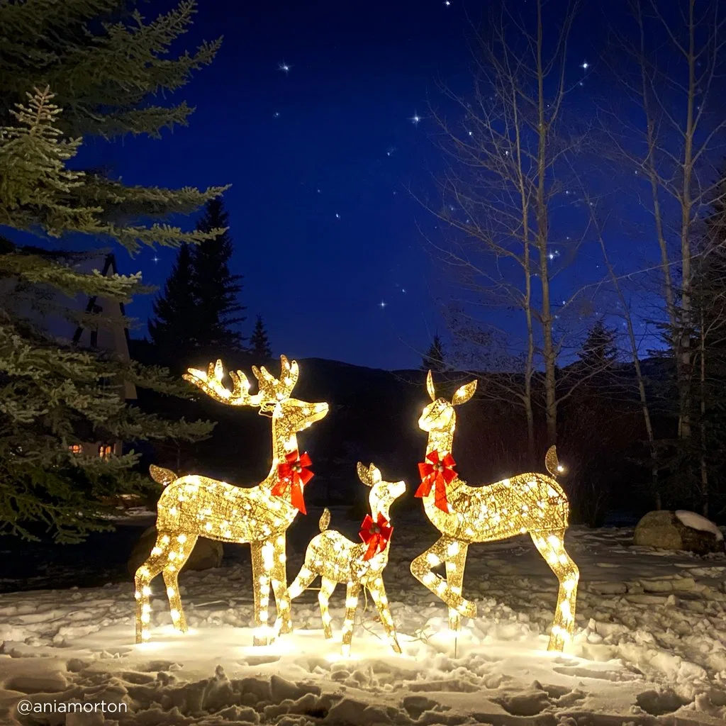 Outdoor LED Metal Christmas Reindeer Sleigh Decoration for New Year