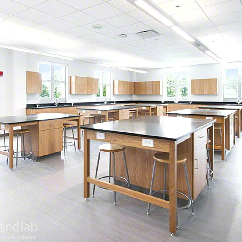 High quality/High cost performance Custom Medical Hospital Wood Microbiology Lab Furniture in China