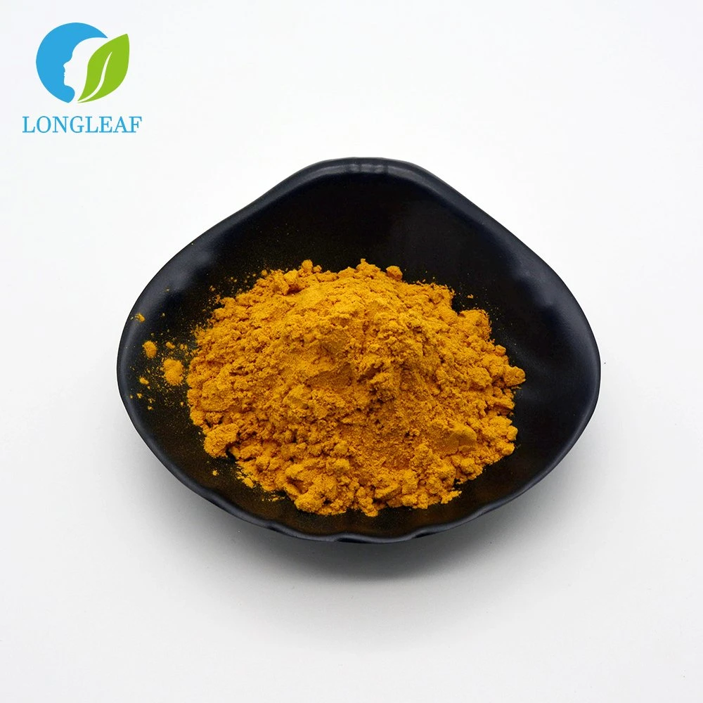 High Quality Low Price Hot Sale Supply Quercetin Powder at Wholesale