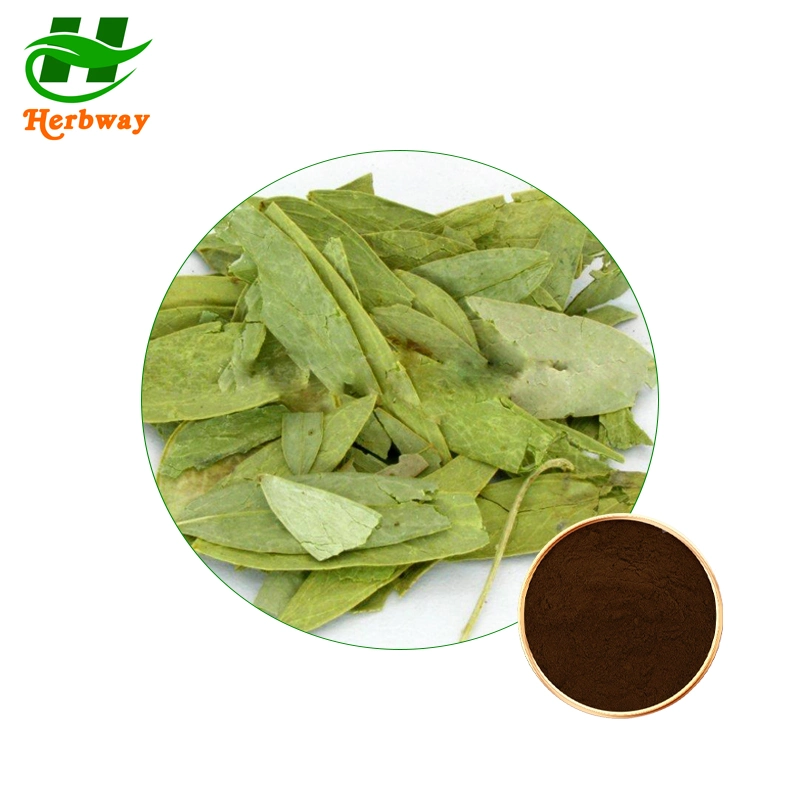 Herbway Plant Extract Folium Sennae Extract Sennoside20% Senna Leaf Extract for Weight Loss