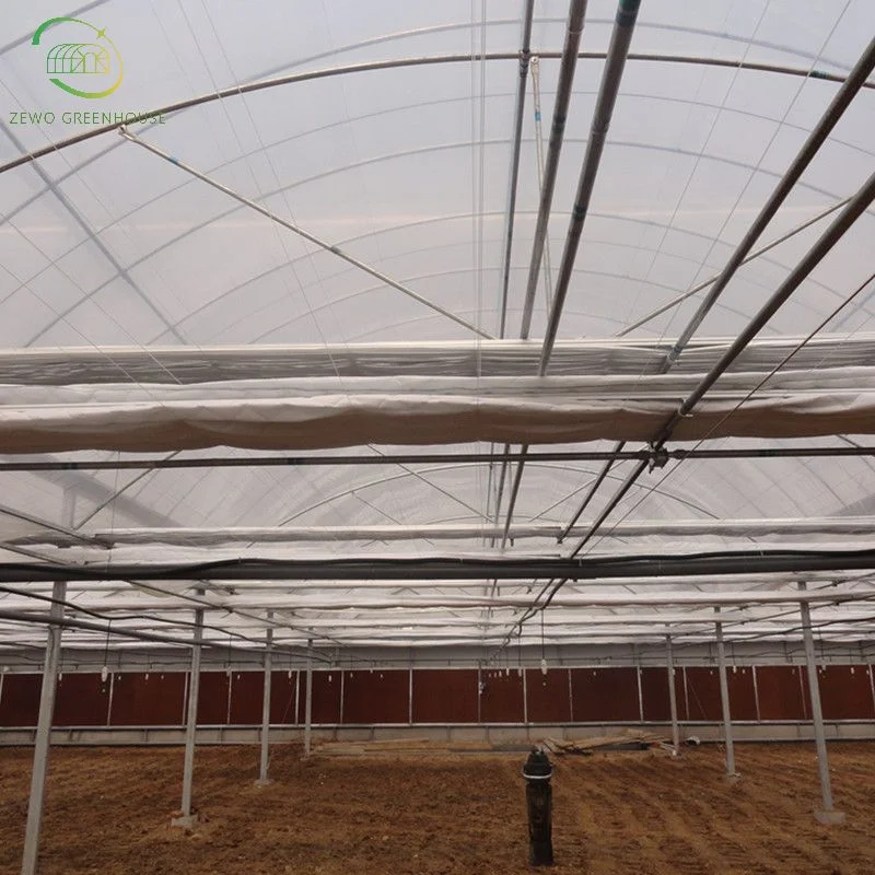 Hot Sale Agricultural Multi Span Greenhouse Covered Plastic Film with Irrigation System for Planting