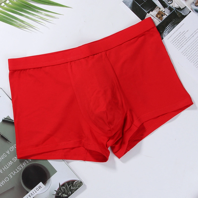 Men's Briefs Sexy Lingerie Underpants Underwear Boxer