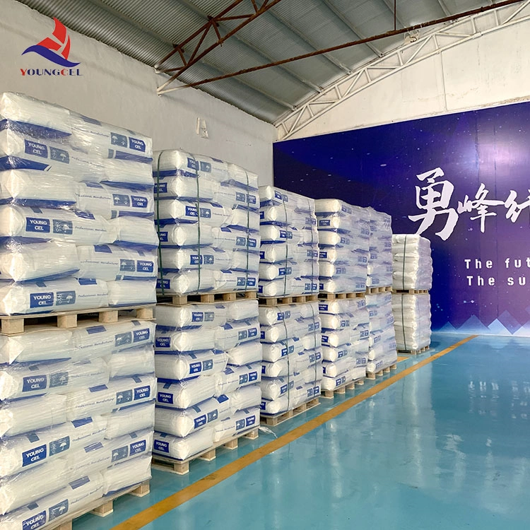 Factory Hydroxypropyl Methyl Cellulose CAS 9004-65-3 HPMC Chemical Product