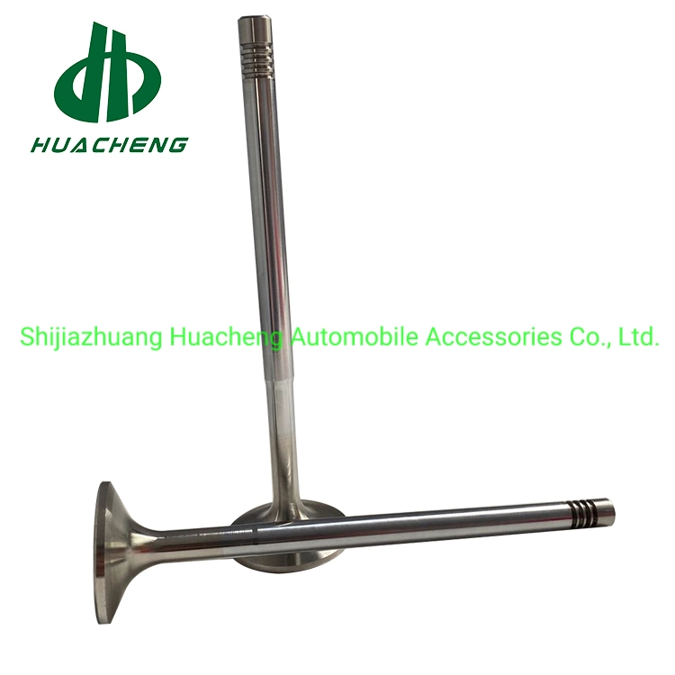 Auto Spare Parts Intake Exhaust Valve Engine for D12c