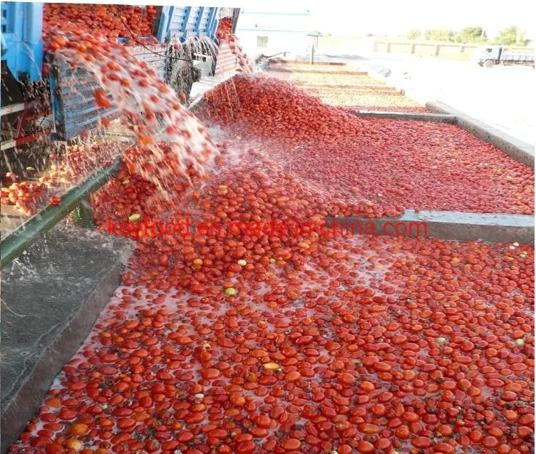 Fully Automatic Tomato Paste Machine to Make Sauce, Ketchup