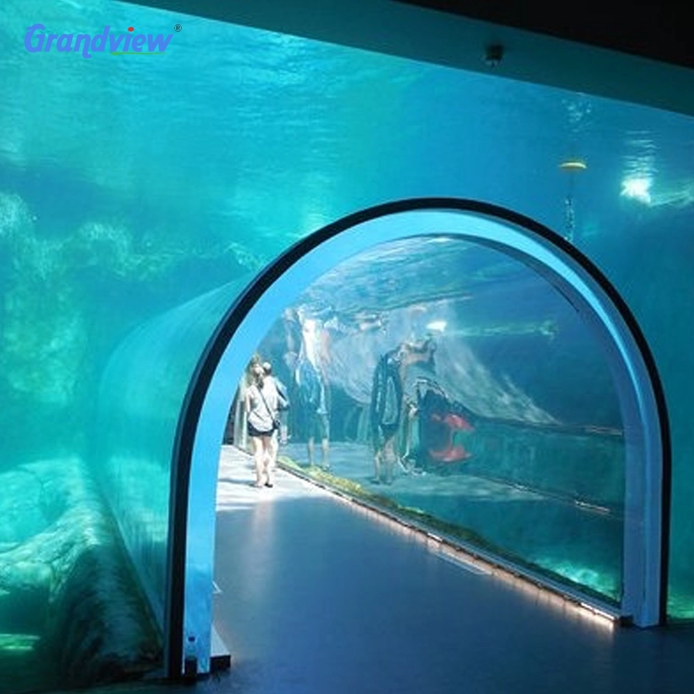 10m hojas de Plexiglás Acrílicas Océánicas transparentes de gran tamaño vidrio Túnel Acuario