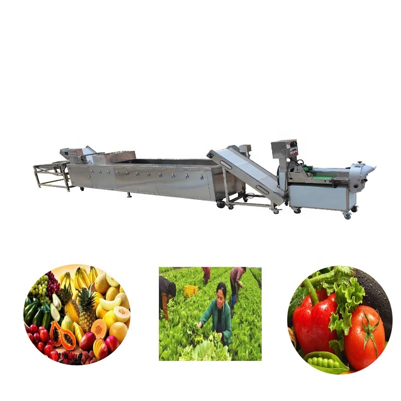 Customized Fruit Processing Equipment Vegetable Sorting Grading Washing Machinery