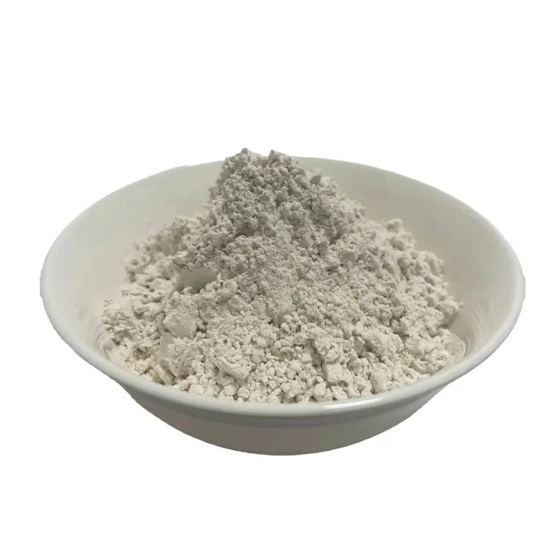 CAS 110958-19-5 Nootropics Fasoracetam Powder in Stock