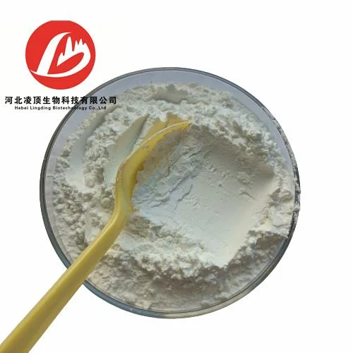 CAS No.: 63-42-3 Manufacturer Supply Powder Lactose