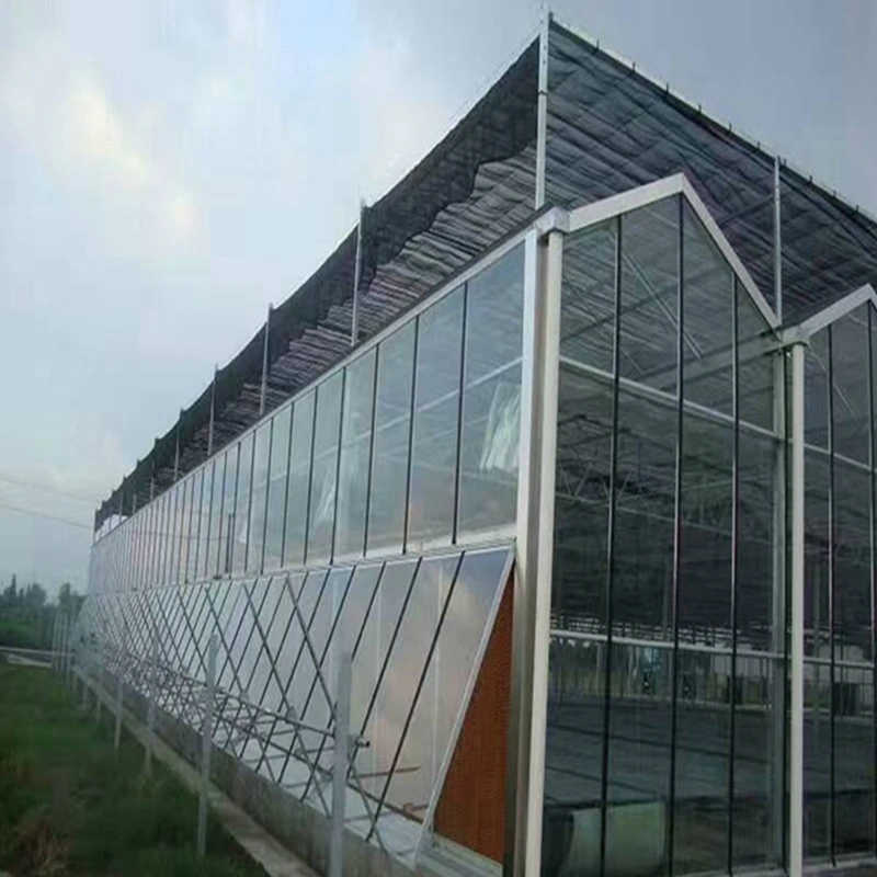 Seedbed Film/Glass/PC Sheet Cover with Hydroponic Pipe Irrigation System