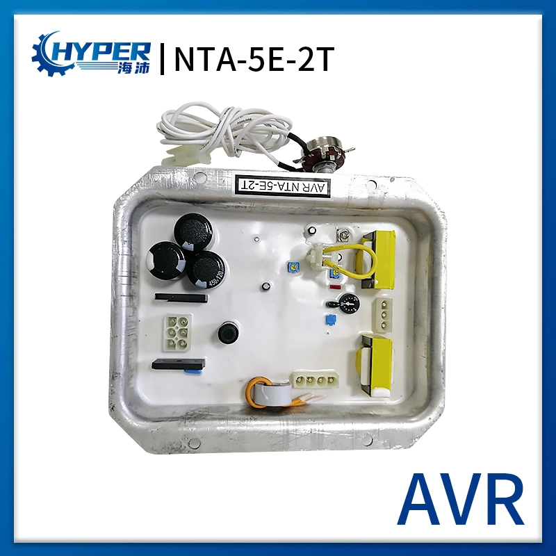 AVR de reemplazo NTA-5e-2t Regulador de tensión automático para el generador Denyo