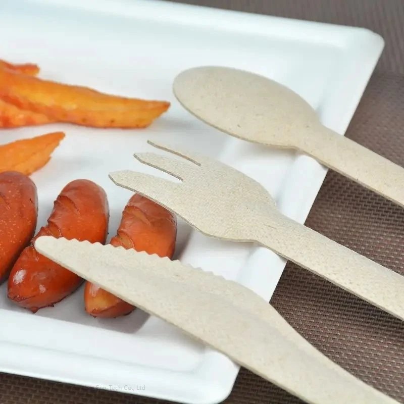 Eco Friendly Disposable Bagasse Spoon and Fork Knife for Fruit Fork Kids