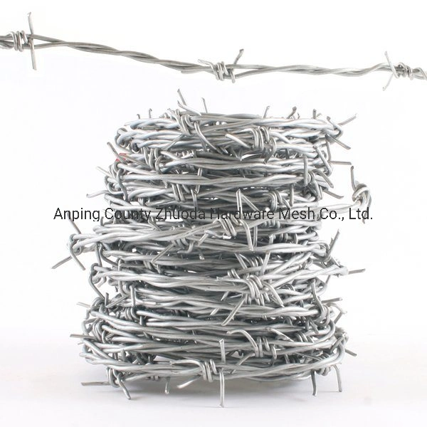 China Wholesale/Supplier Galvanized Barbed Wire Amazon Low Price