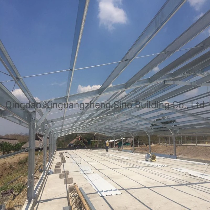 Low Cost Prefabricated Steel Structure Chicken House Farm