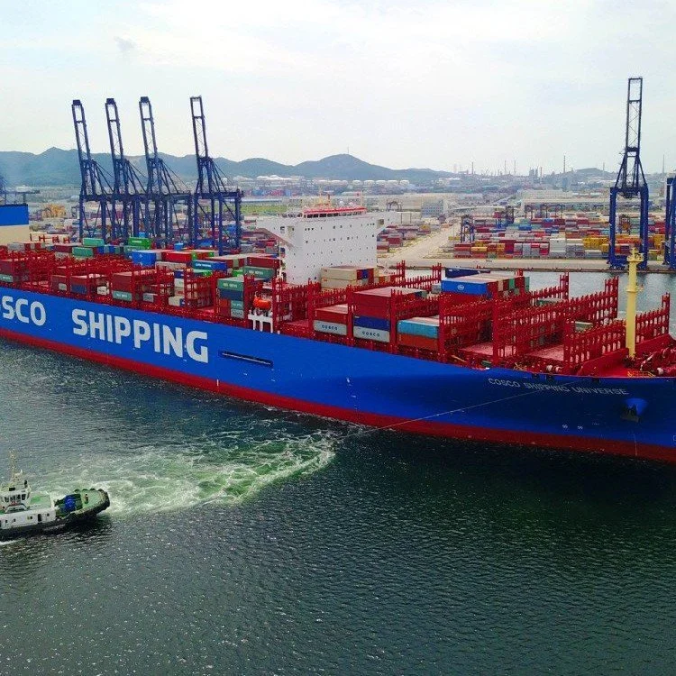 Sea Shipping Price to India Del Nsa From Hongkong China Ocean Freight Agent Container Transport