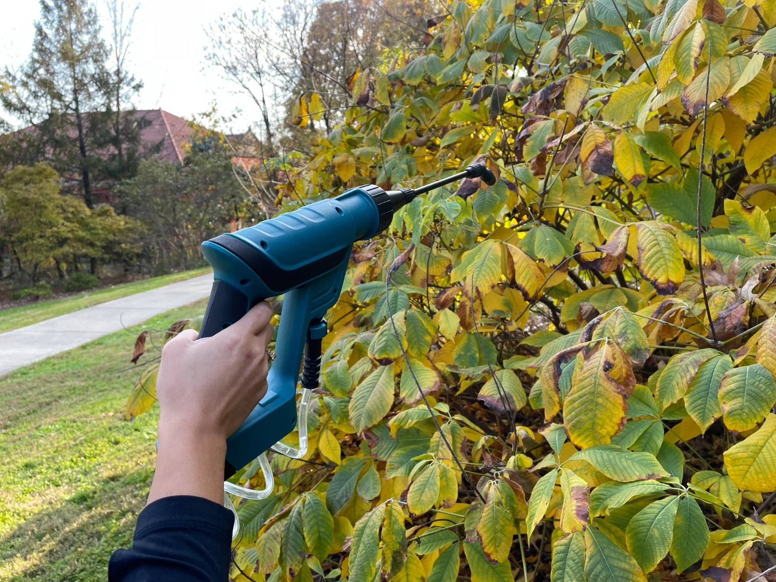 Factory Portable Agricultural Battery Garden Knapsack Sprayer for Lawn Care Homeowners