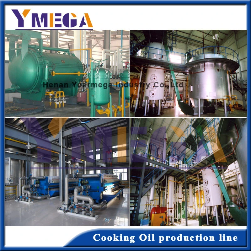 China Manufacturer Directly Supply Refinery for Edible Vegetable Oil