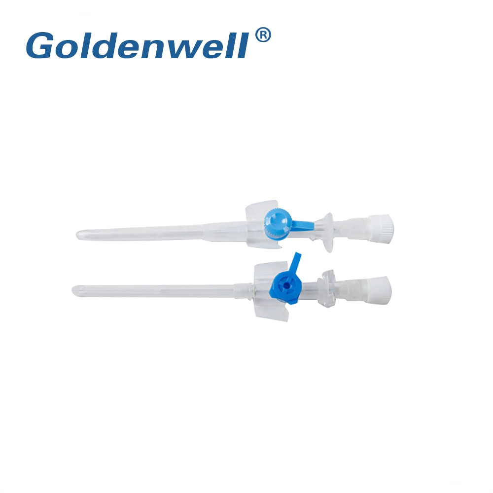 Hot Sale Disposable Medical IV Cannula with Wing Injection Port