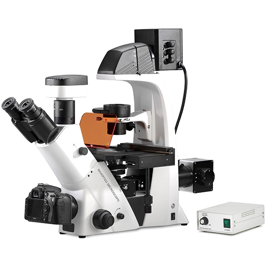 BestScope BS-2093BF(LED) 40x-400x Cultured Living Cells Fluorescence Inverted Trinocular Biological Microscope