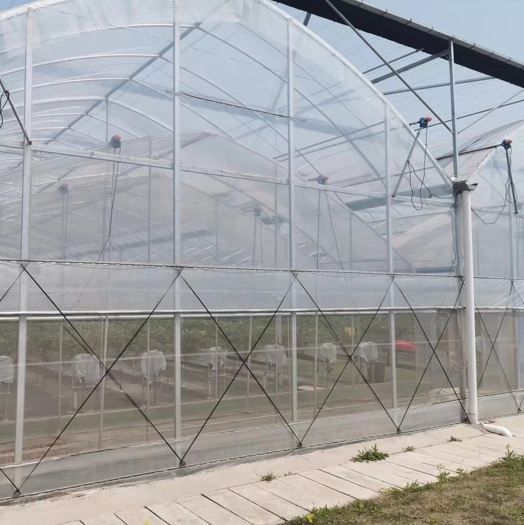 Premium Quality Sustainable Gardening UV Resistant Film Transparent for Greenhouse Roofing Agriculture Low Cost