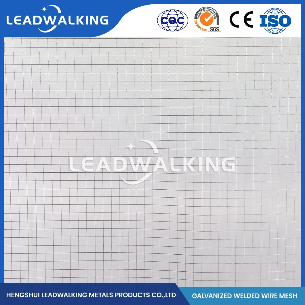 Leadwalking Vinyl Coated Welded Wire Fence Manufacturers Custom 1X1 Welded Wire Mesh China 1/2"X1/2" Inch 3X3 Galvanized Welded Wire Mesh