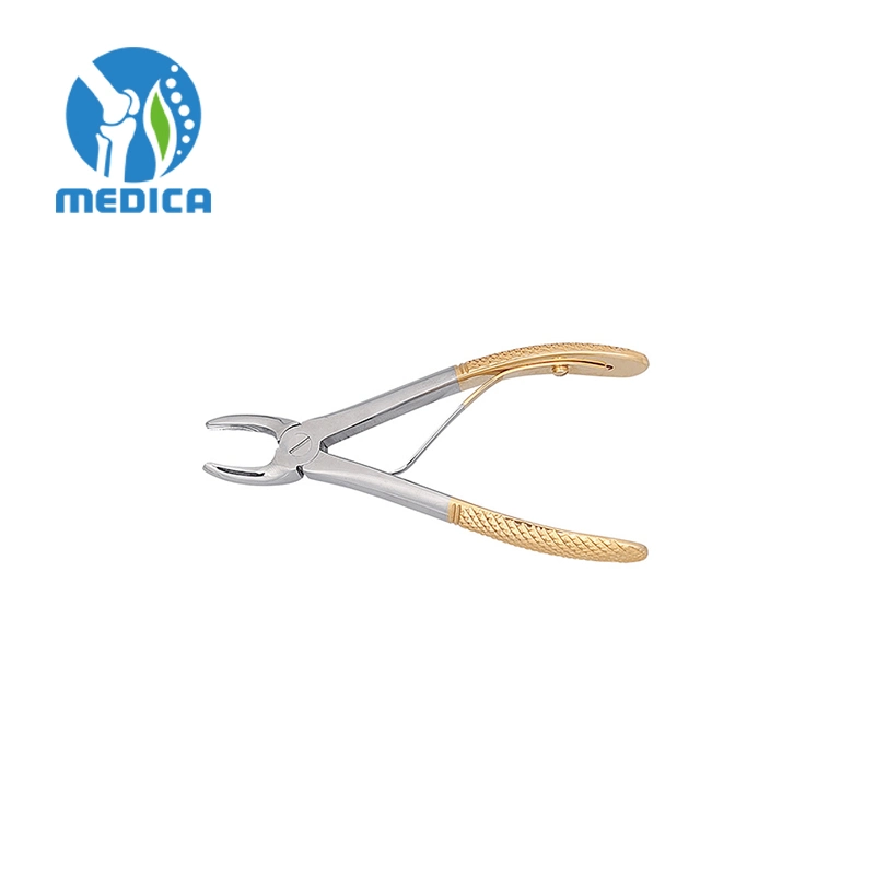 Scaler Elevator Curette Forceps Retractor Veterinary Dental Instrument Kit