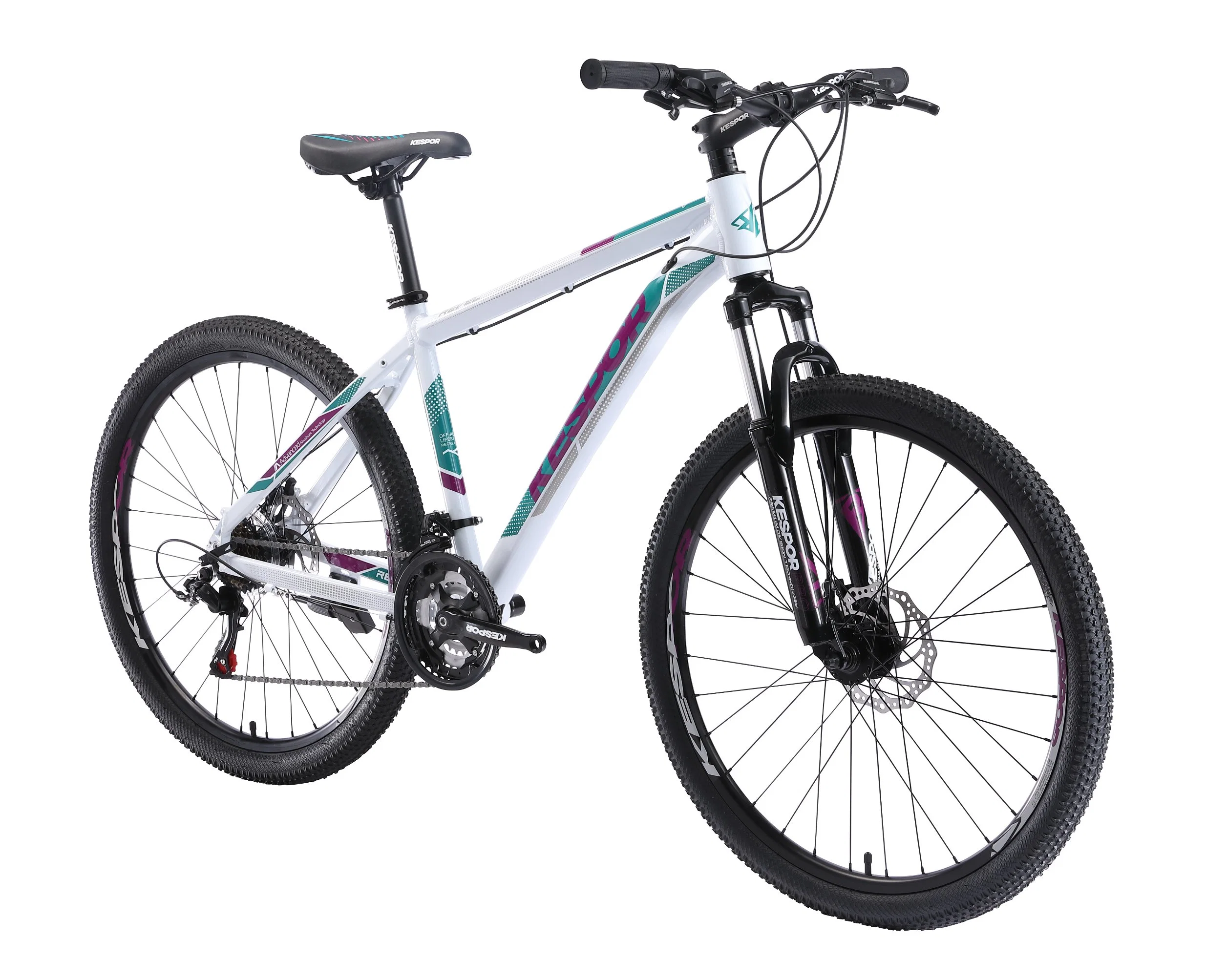 China Factory Cheap Price Model Revel 21 Speed Alloy Mountain Bike Bicycle with Suspension