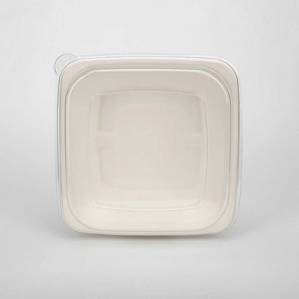 Biodegradable Disposable Take-out Spring Picnic Light Food to-Go Box Tableware Lunch Box Plate Compostable Plates and Cutlery