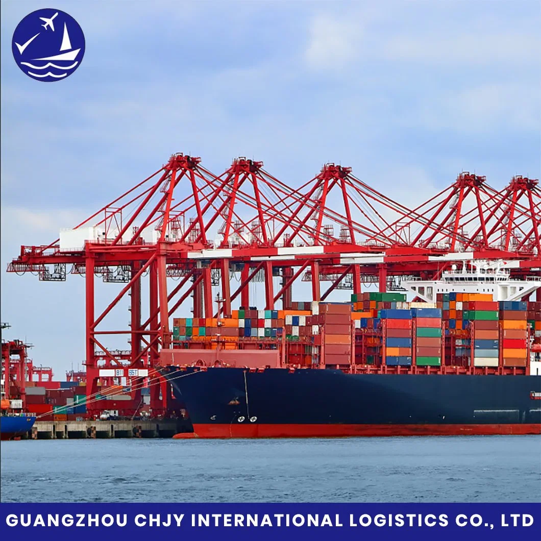 FCL/LCL DDU Shipping Logistics Sea Freight Forwarder with Lowest Price and Best Service From China to America/Canada