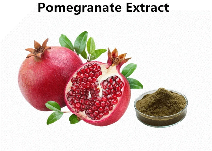 Best Quality Competitive Price Pomegranate Extract Urolithin a for Anti-Aging