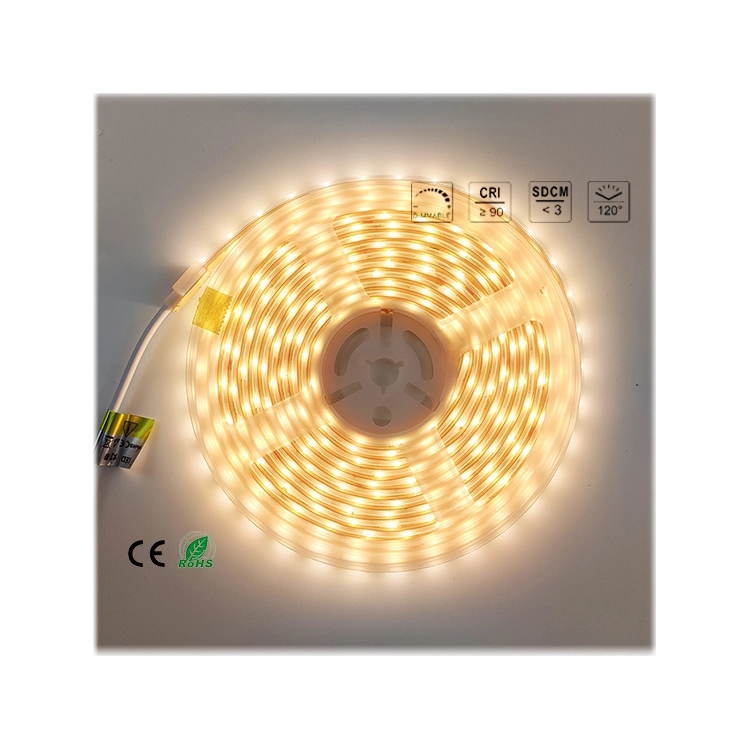 Günstige flexible LED-Streifen Licht für Home Room Cabinet Low Spannung DC 12V 24V SMD 2835 5050 Super Bright White Farbe Wasserdicht