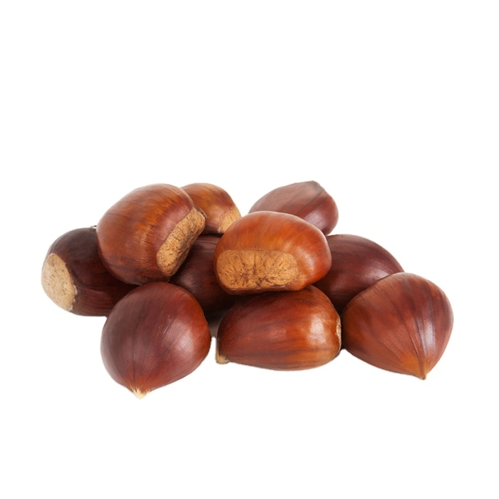 New Crop Fresh Big Size 30-40mm Dandong Chestnut Discount