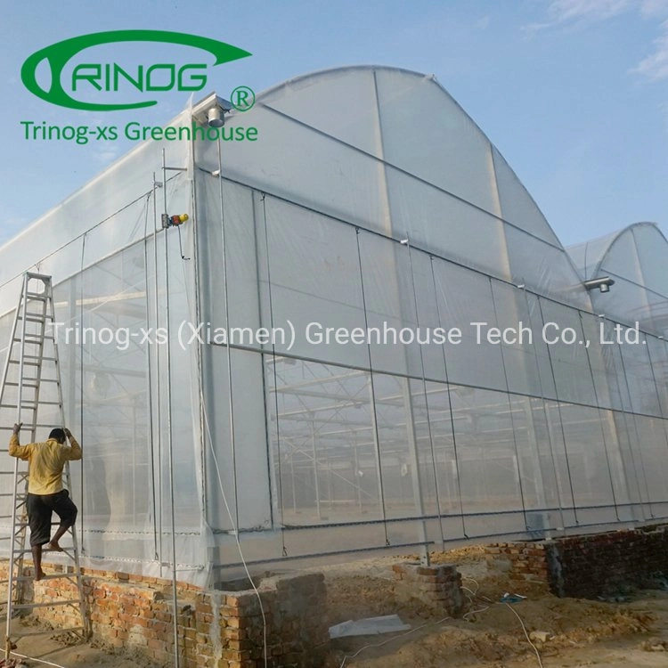 Trinog greenhouse agricultural muti-span high tunnels greenhouses for farm facilities equipment