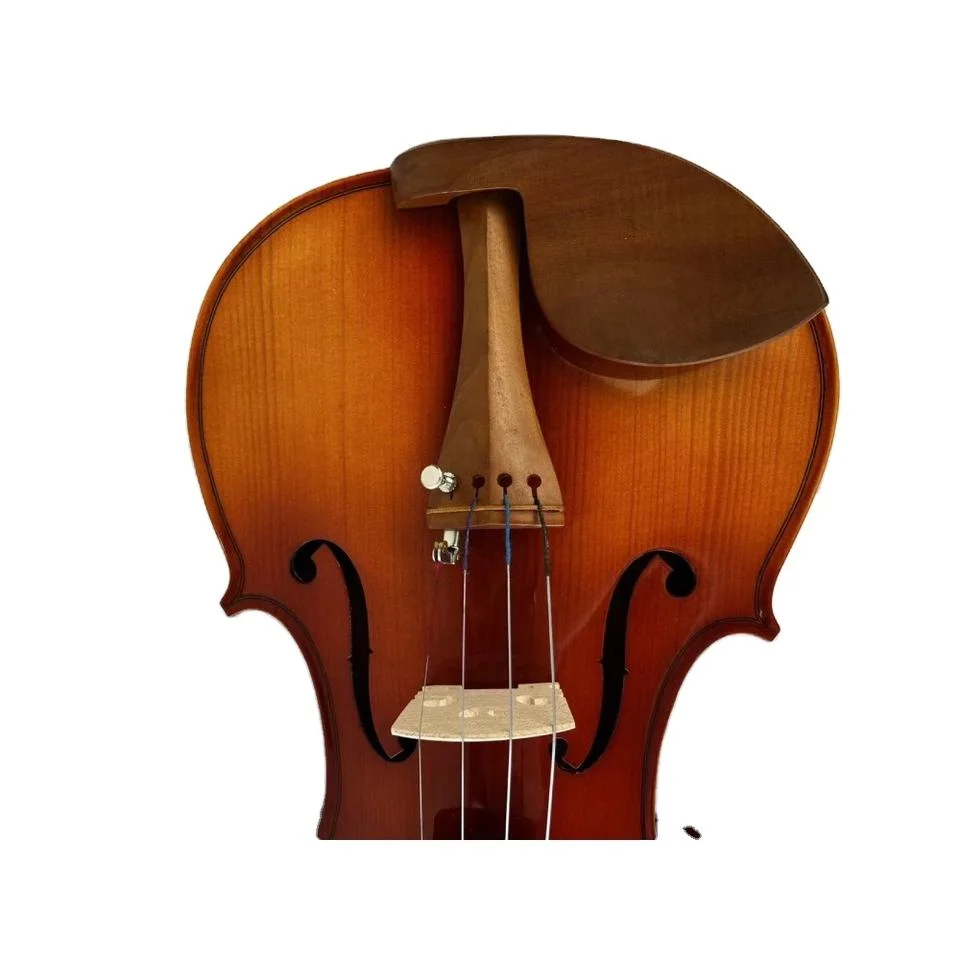 Fokison Spruce Ebony Strings ornamento hecho a mano Violin