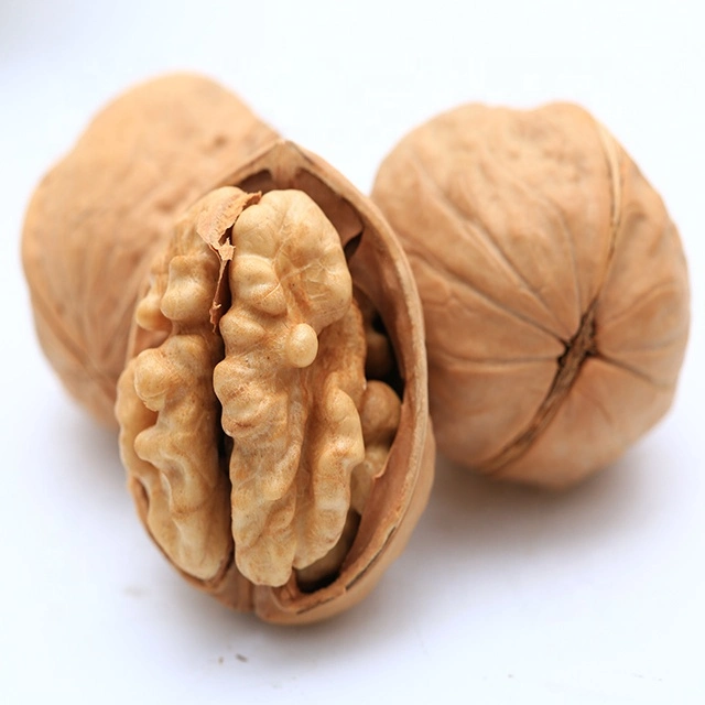 Buy Light Walnut Kernel Whole Without Skin