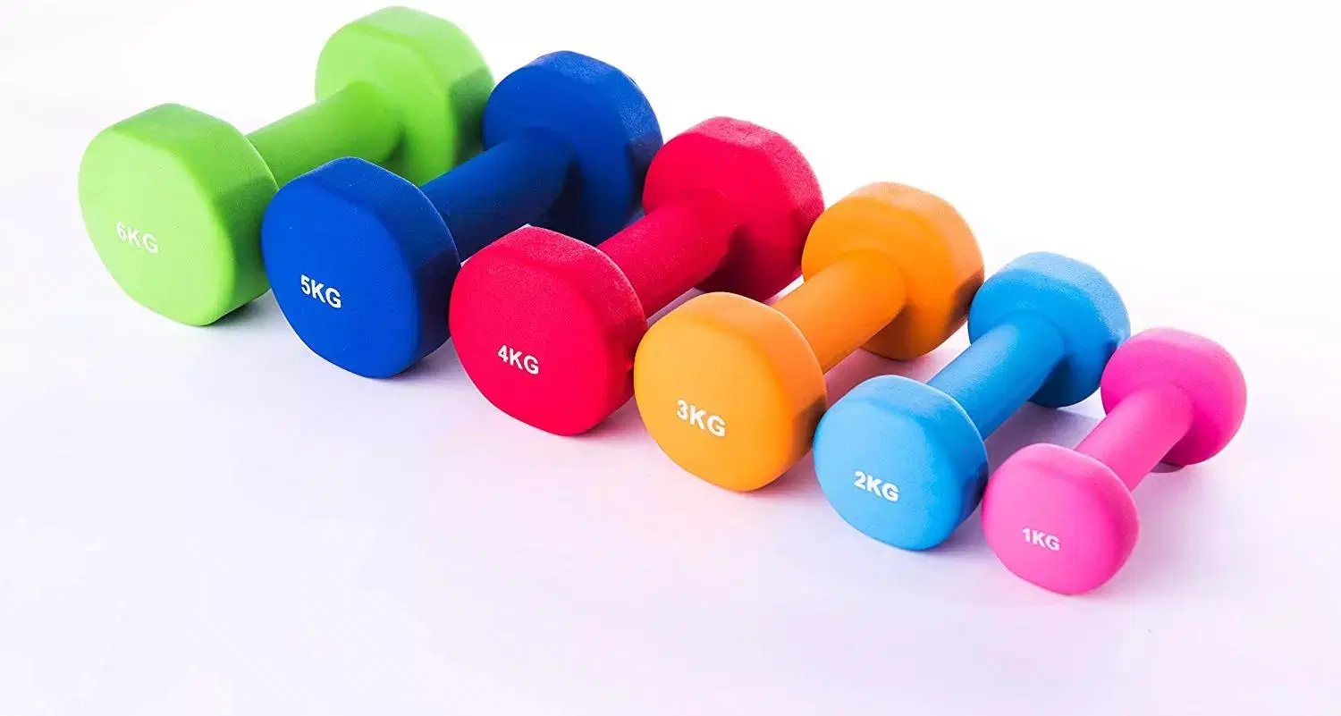 Gym Dumbbell Arm Hand Weights Pilates Vinyl Dumbbell Equipment