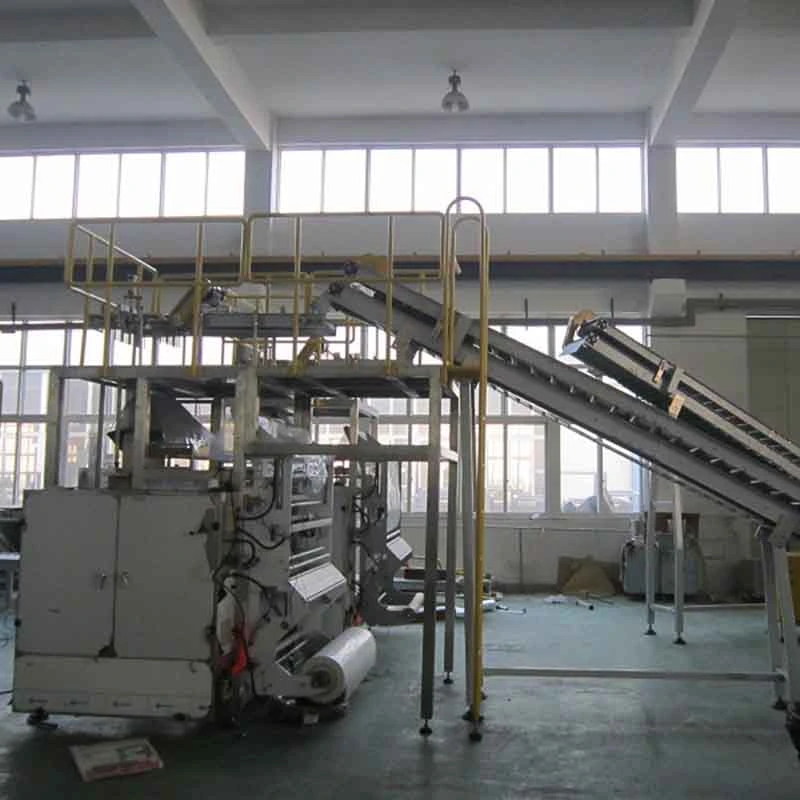 Automatic Plastic Bag Granule Secondary Packing Packaging Machine