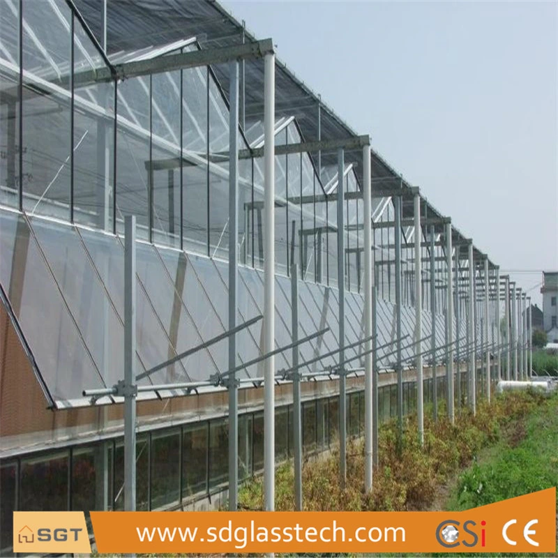 4mm 5mm Low Iron/ Ultra Clear Anti-Reflection Glass with Starphire Color for Greenhouse