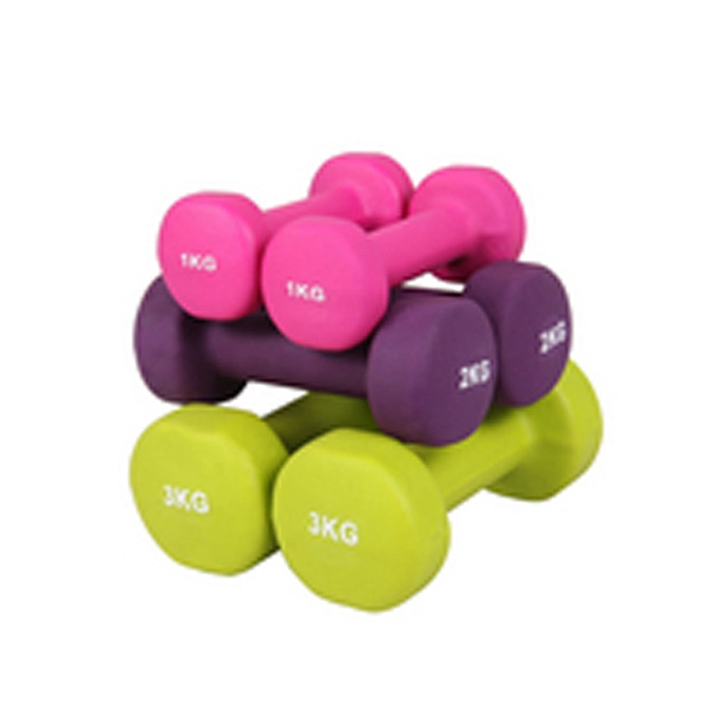 Gym Dumbbell Arm Hand Weights Pilates Vinyl Dumbbell Equipment