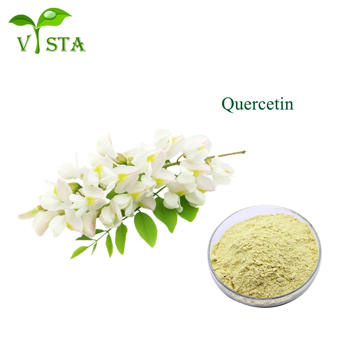 استخراج النبات الطبيعي النقي Quercetin Powder Sophora Japonica استخراج