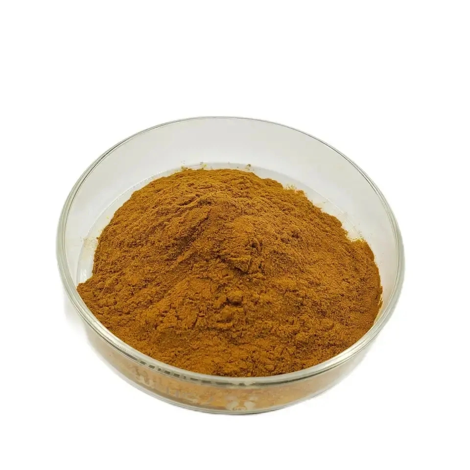 Extract Chlorogenic Acid Powder Honeysuckle Flower Extract