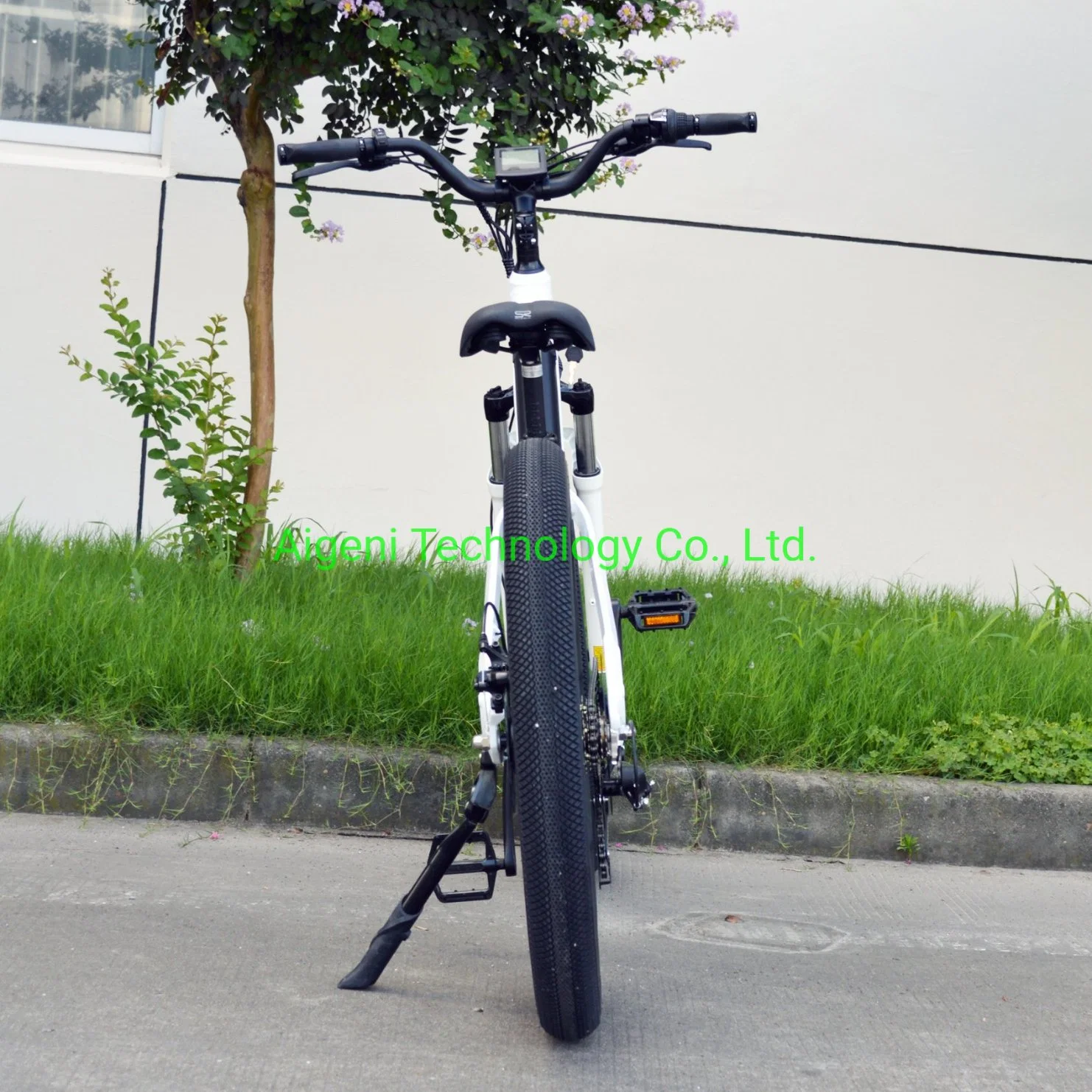 2021 Step Bike for Us Market Supermarket Electric Bike