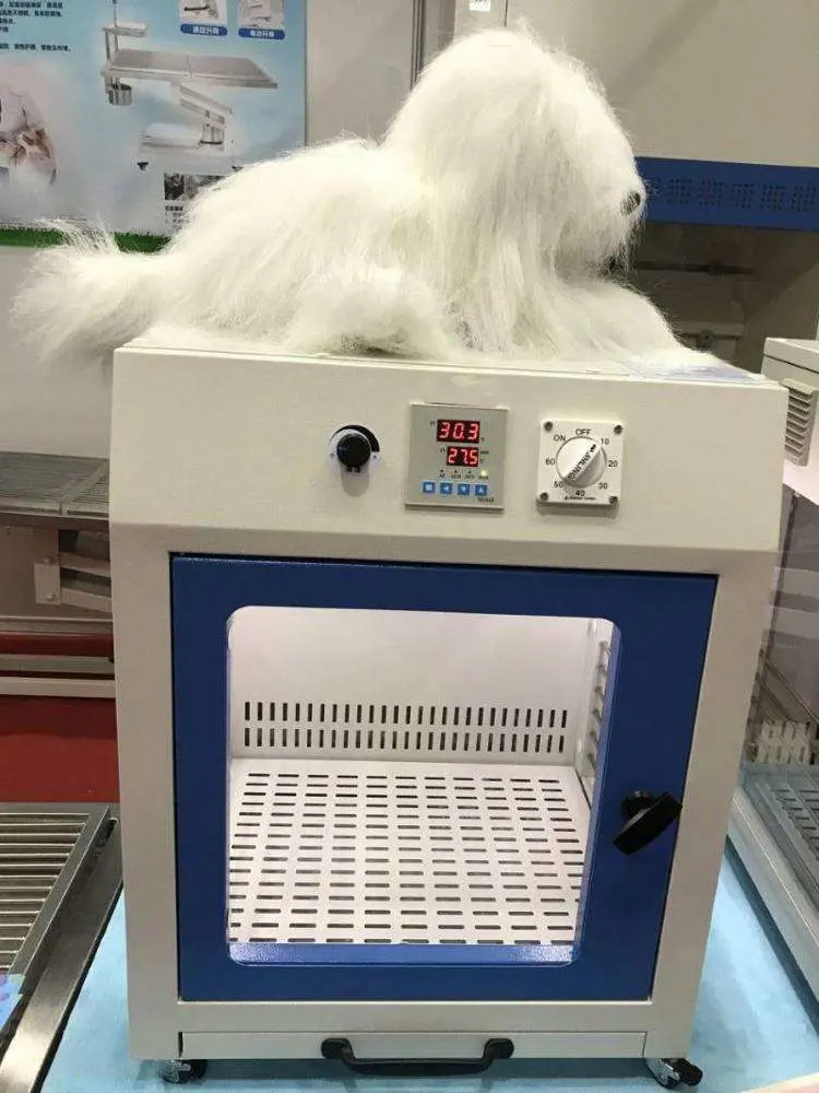 Outro instrumento veterinários dos animais de estimação Secador de cabelo aliciamento de secador de cabelo do suíno