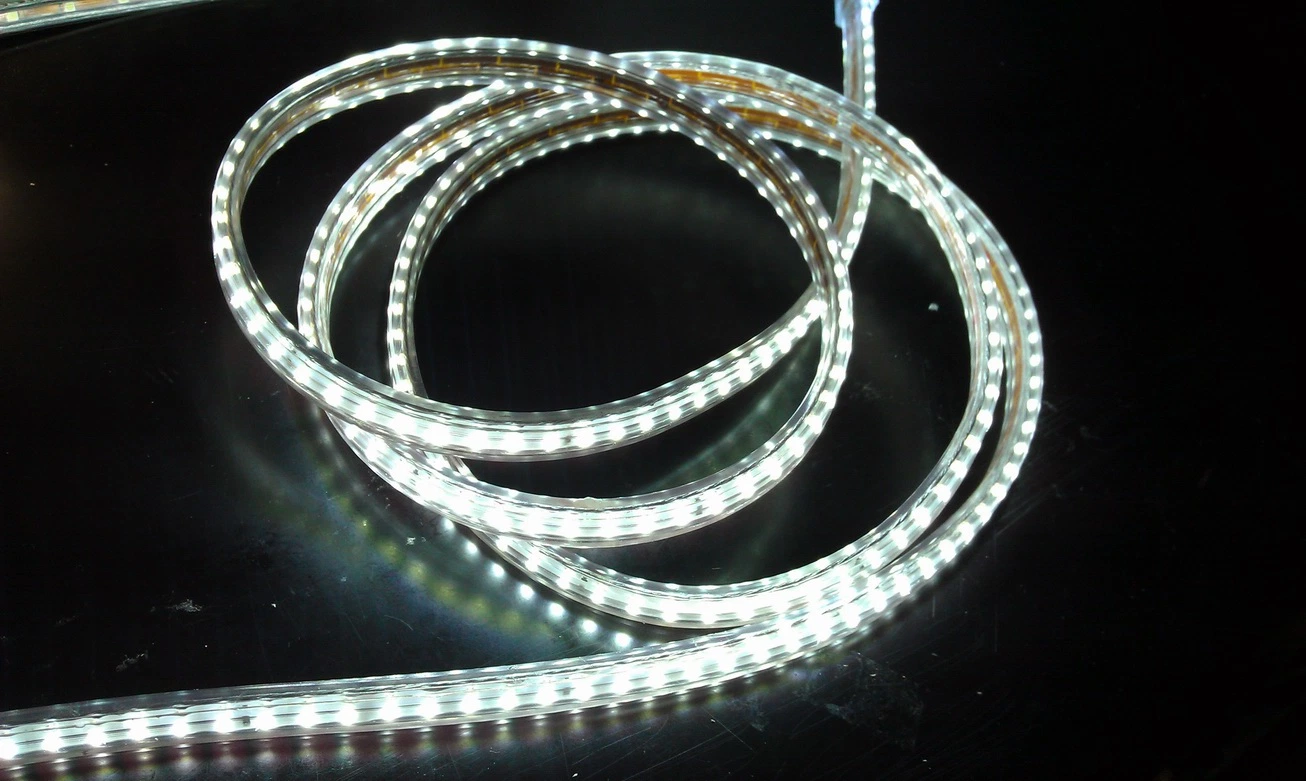 Super Bright 220V 127V SMD3014 Flexible Strip Light IP65 LED Rope Light