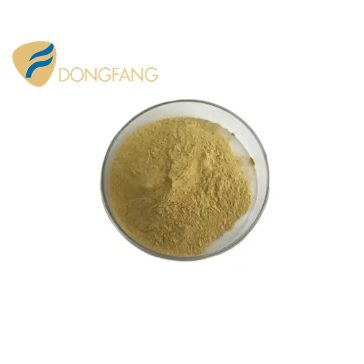 Free Sample Chinese Factory Supply Euglena Gracilis Extract Euglenia Protein Powder Euglenia with Best Price.