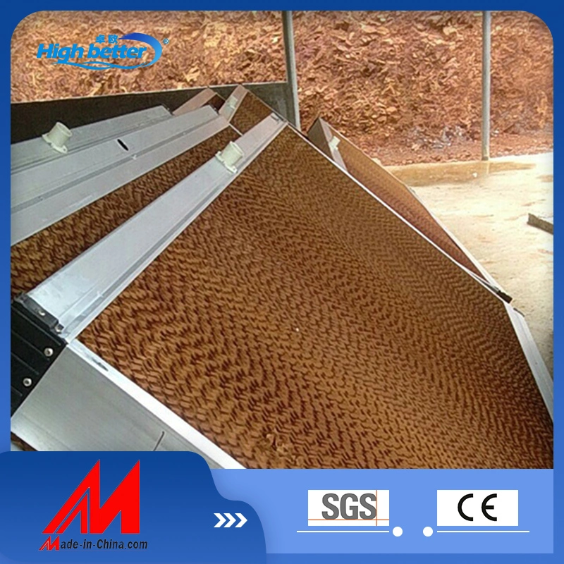 7090&prime; 6090&prime; 5090&prime; 7060&prime; 5050 Evaporative Cooling Pads/Damp Curtains for Greenhouses/Factories/Poultry Farms