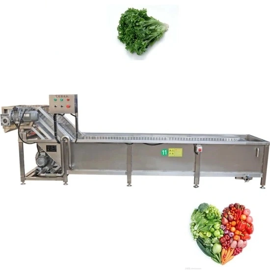 Fruit & Vegetables Bubble Cleaning and Washing Machine Conveyor Belt Washer