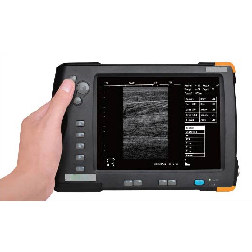 Portable Handheld Vet Sonar System B/W Veterinary Ultrasound Equipment