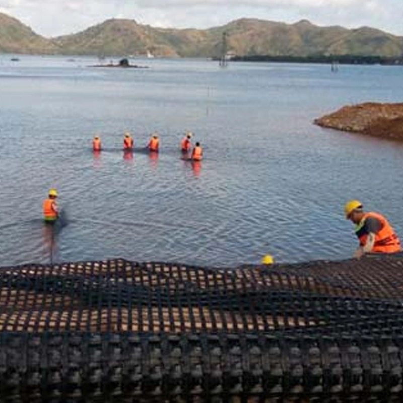 Geogrid de alta fuerza de tracción para el muro de retención del ferrocarril