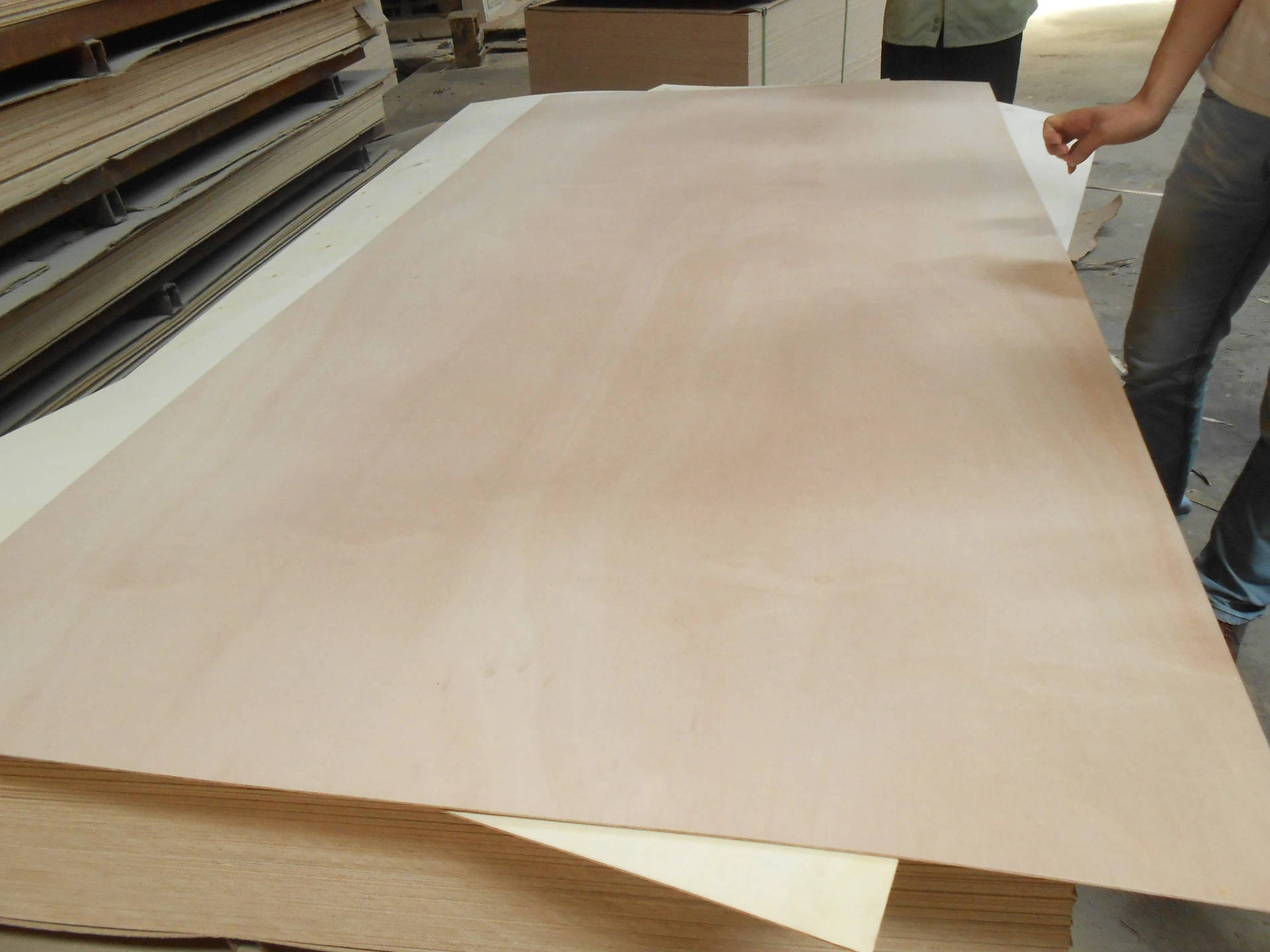 Multi-Layer Wood Veneer Technology Wood Board Sapele Board Bleached Poplar Board Birch Board Three-Ply Plywood Three-Ply Board